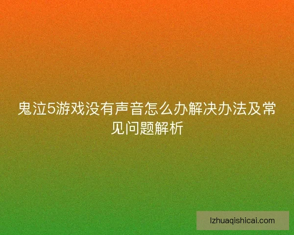 鬼泣5游戏没有声音怎么办解决办法及常见问题解析